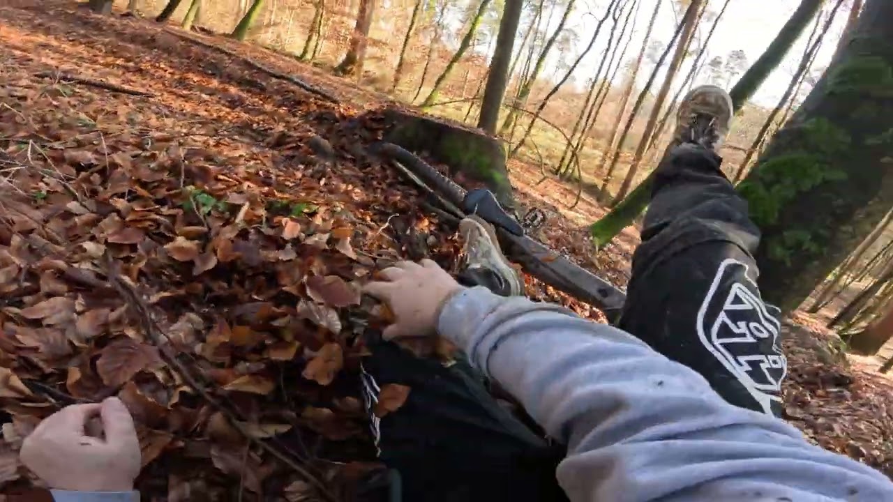 Spaß im Wald & Wilde Stürze