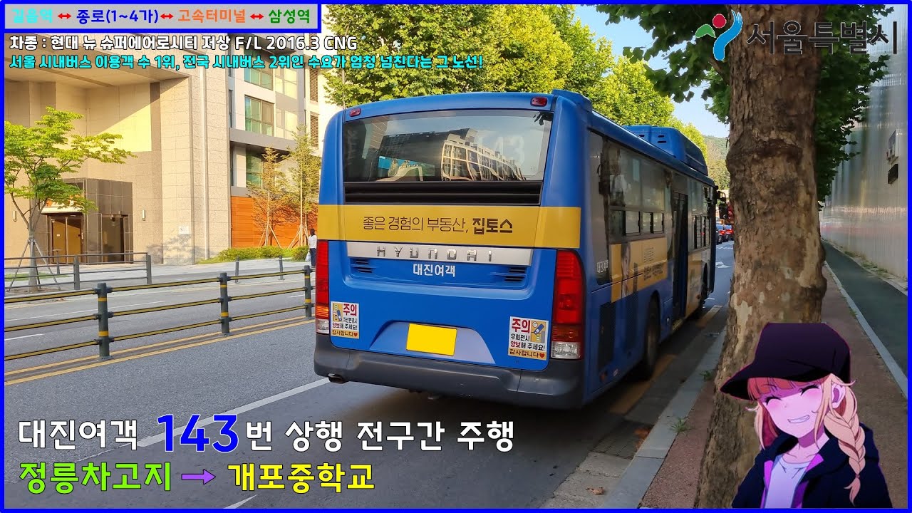 [버스 주행영상] 대진여객 143번 / 정릉차고지 → 개포중학교 간 주행영상