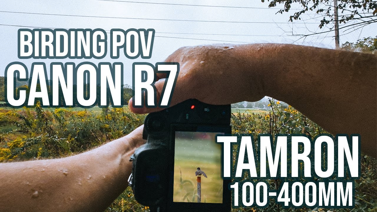 Relaxing Bird Photography POV In The Rain With The Canon R7 And Tamron 100-400 EF