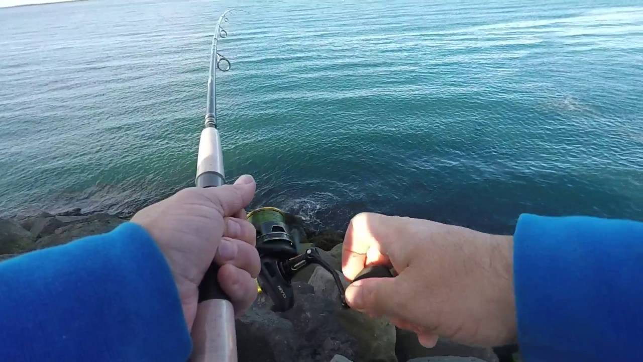 A few minutes of fishing in a couple of places in Iceland