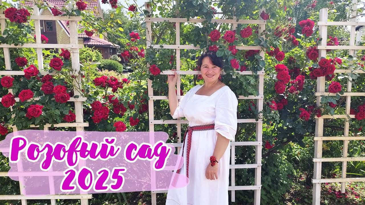 25 сортов самых ШИКАРНЫХ РОЗ!