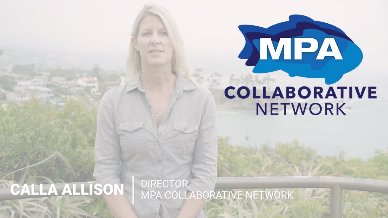 The MPA Collaborative Network