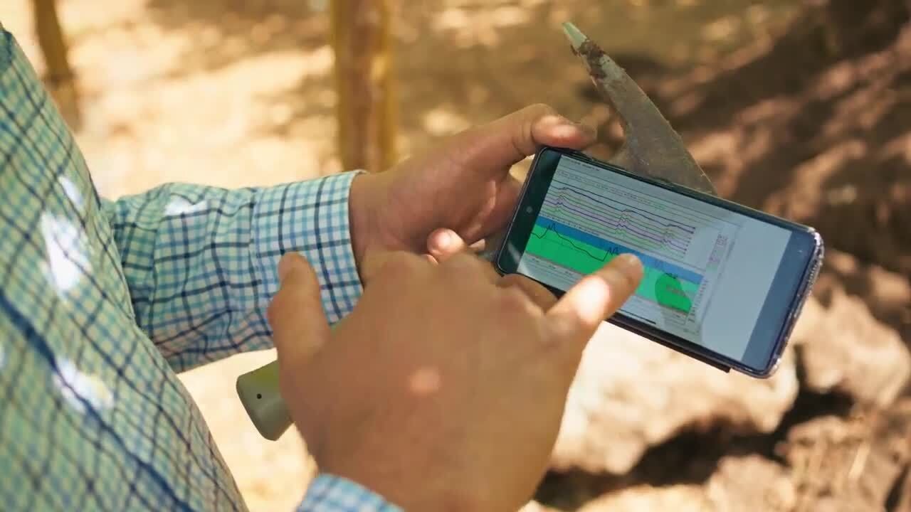 Chilean farmland - Active management