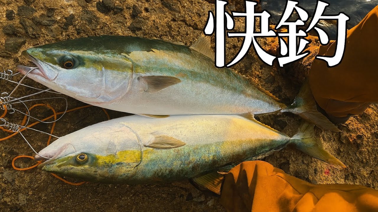 【ショアジギング】中谷式！青物快釣！