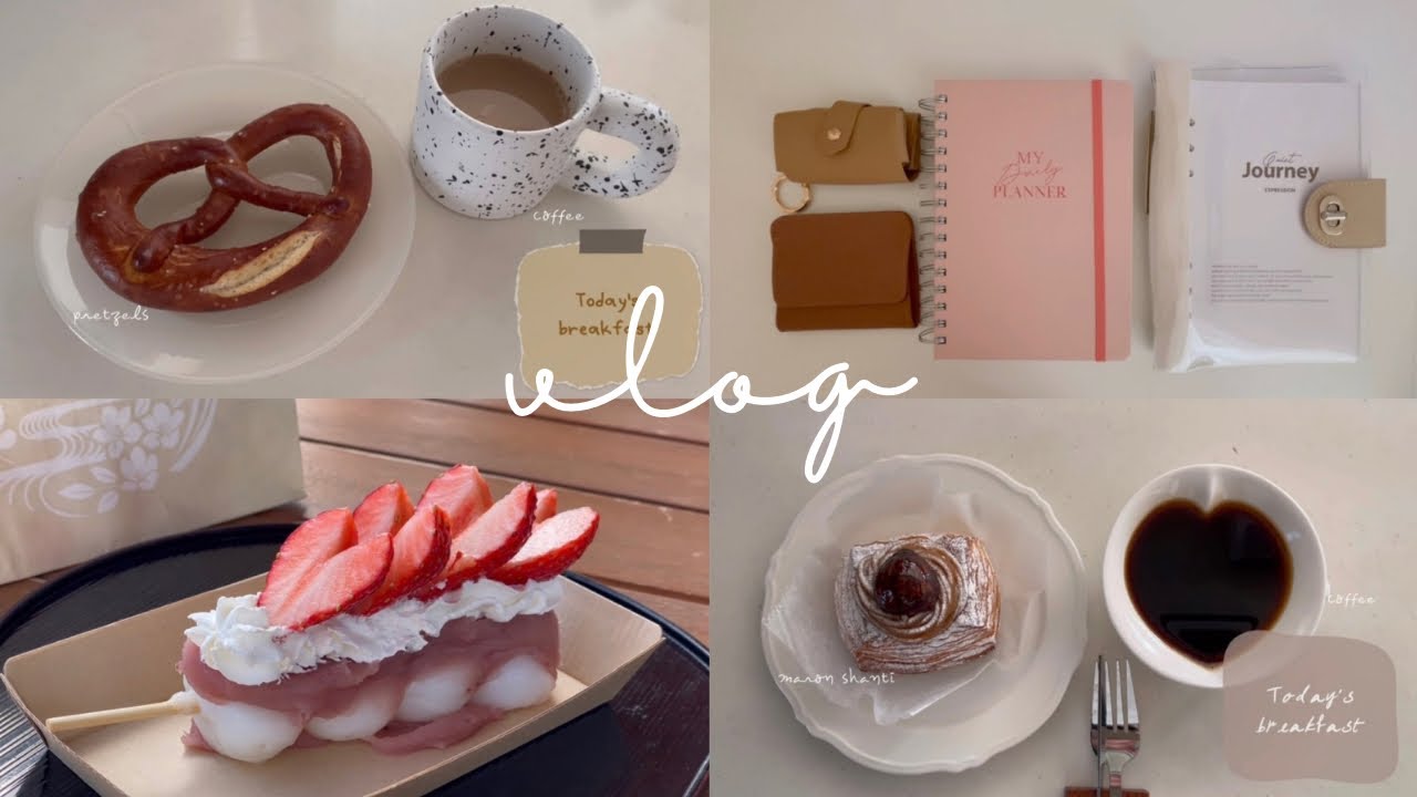 vlog  | お団子食べたりピクニックで春気分🍓🍡 | 3COINS購入品 | 食事記録🍽️