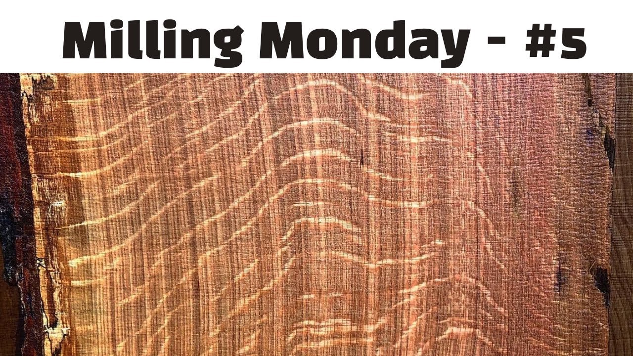 Milling Monday #5 | Understanding Moisture in a Slab