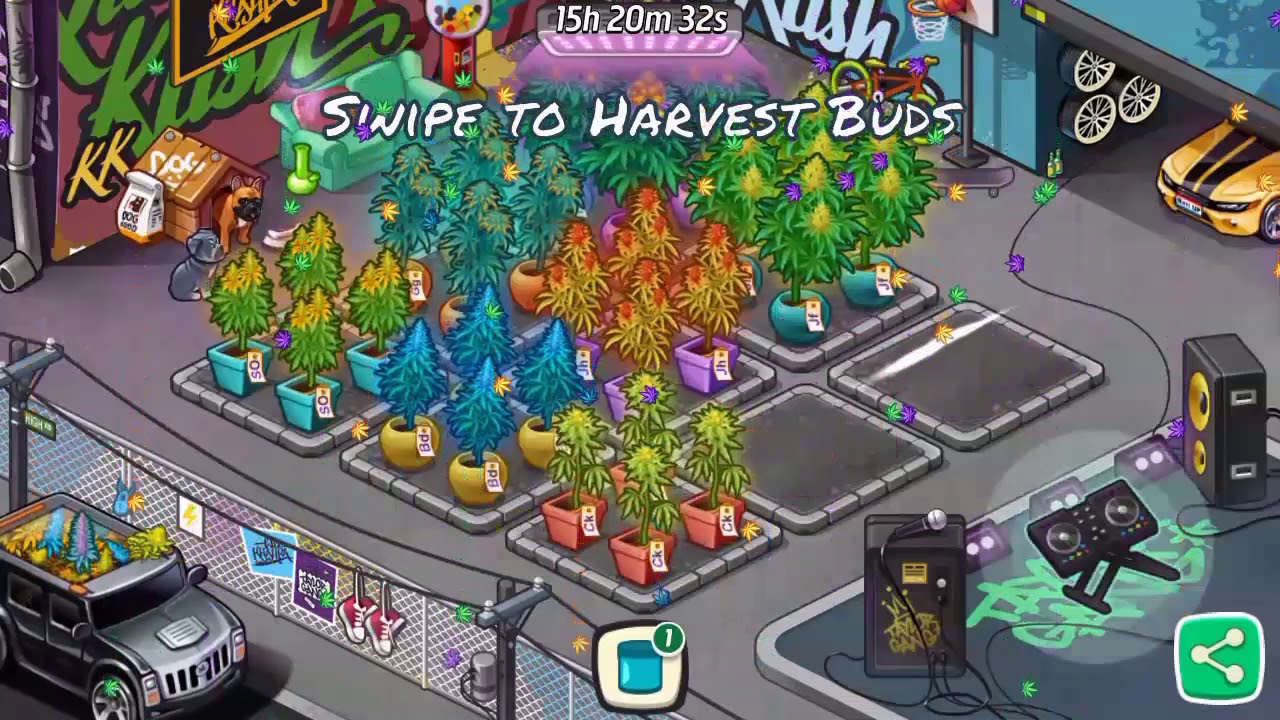 Wiz Khalifa Weed Farm Glitch Harvest (jars)