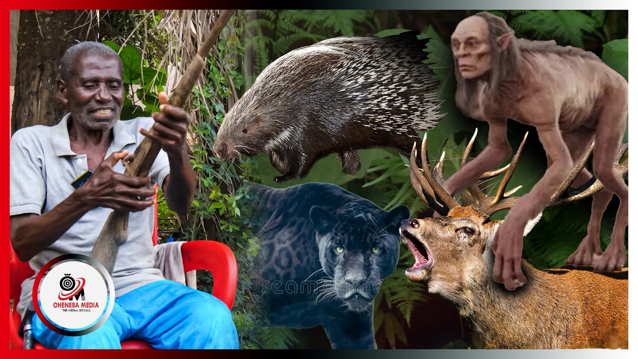 Spirit Of Witchcraft Followed Me To My House From The Forest...50 Years Experienced Hunter Reveals