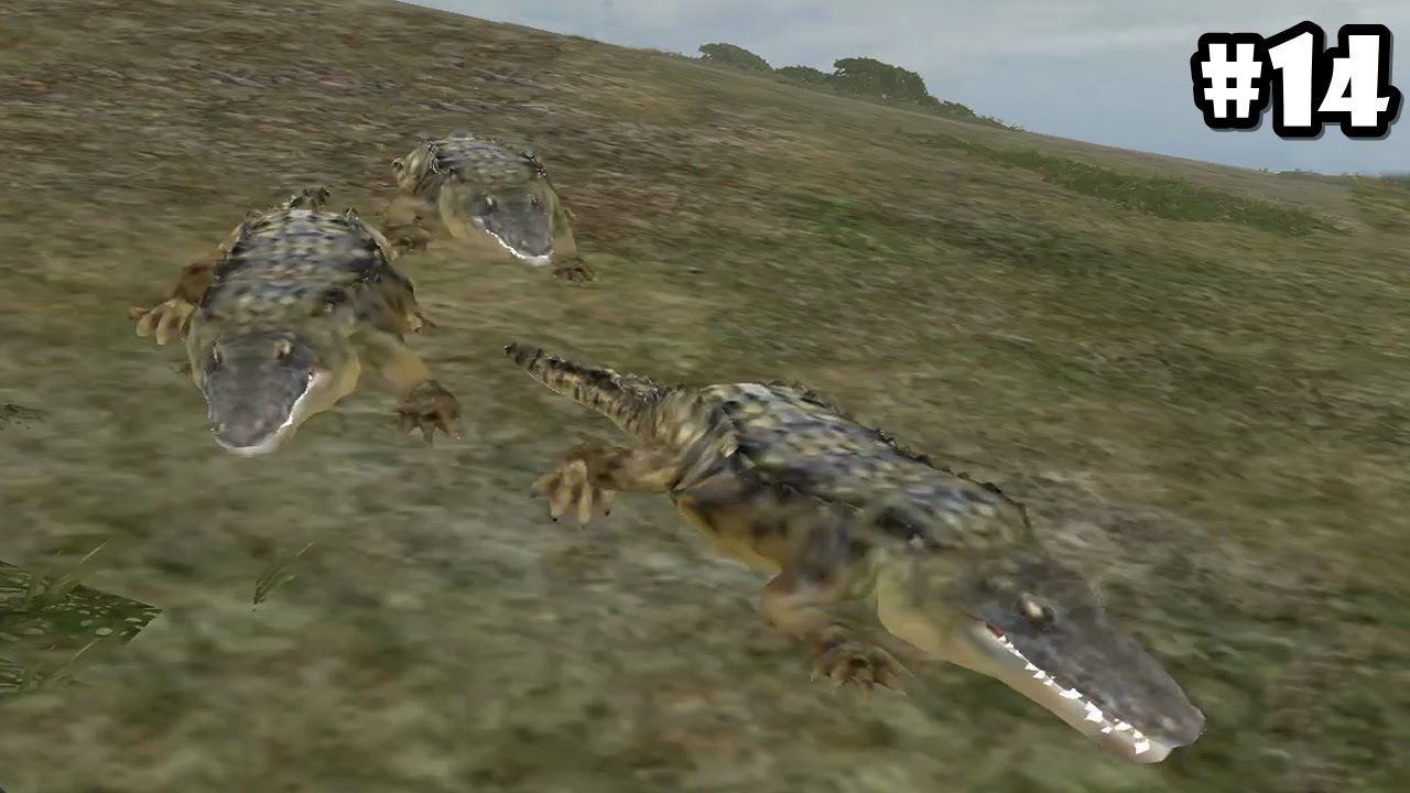 Wild Animals Online - Pack of Crocodiles - Android/iOS - Gameplay Episode 14