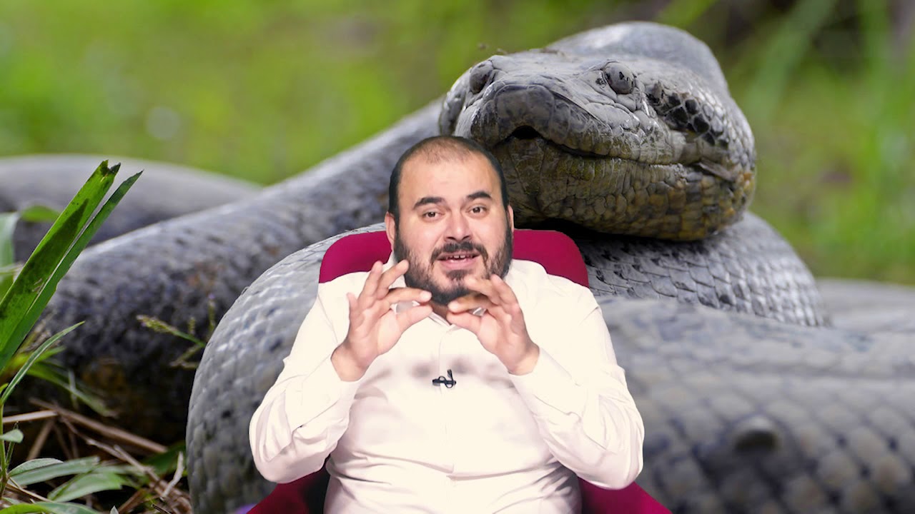 R&uuml;yada B&uuml;y&uuml;k yılan g&ouml;rmek nedir R&uuml;ya Tabiri R&uuml;yada B&uuml;y&uuml;k Yılan g&ouml;rmek ne anlama gelir H&uuml;seyin duru
