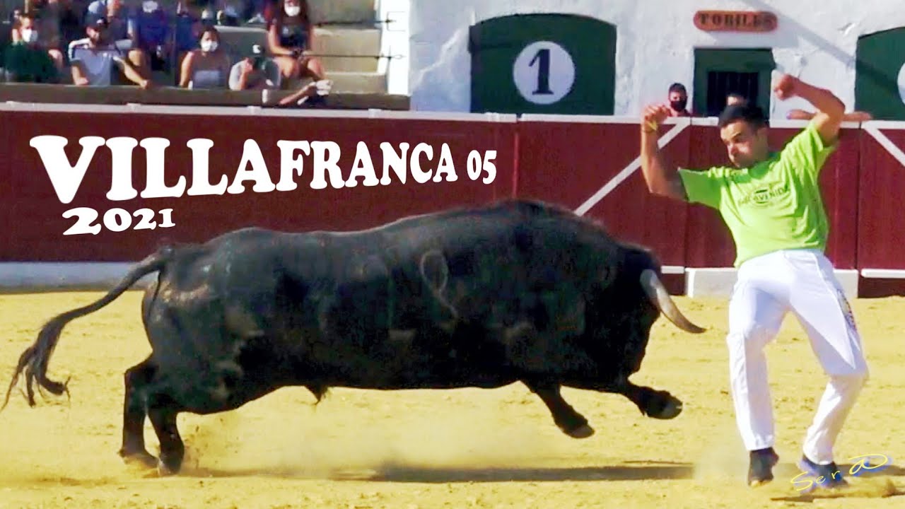 ✅2021 VILLAFRANCA del CID 05 ◾ Concurso de Recortes La FINAL