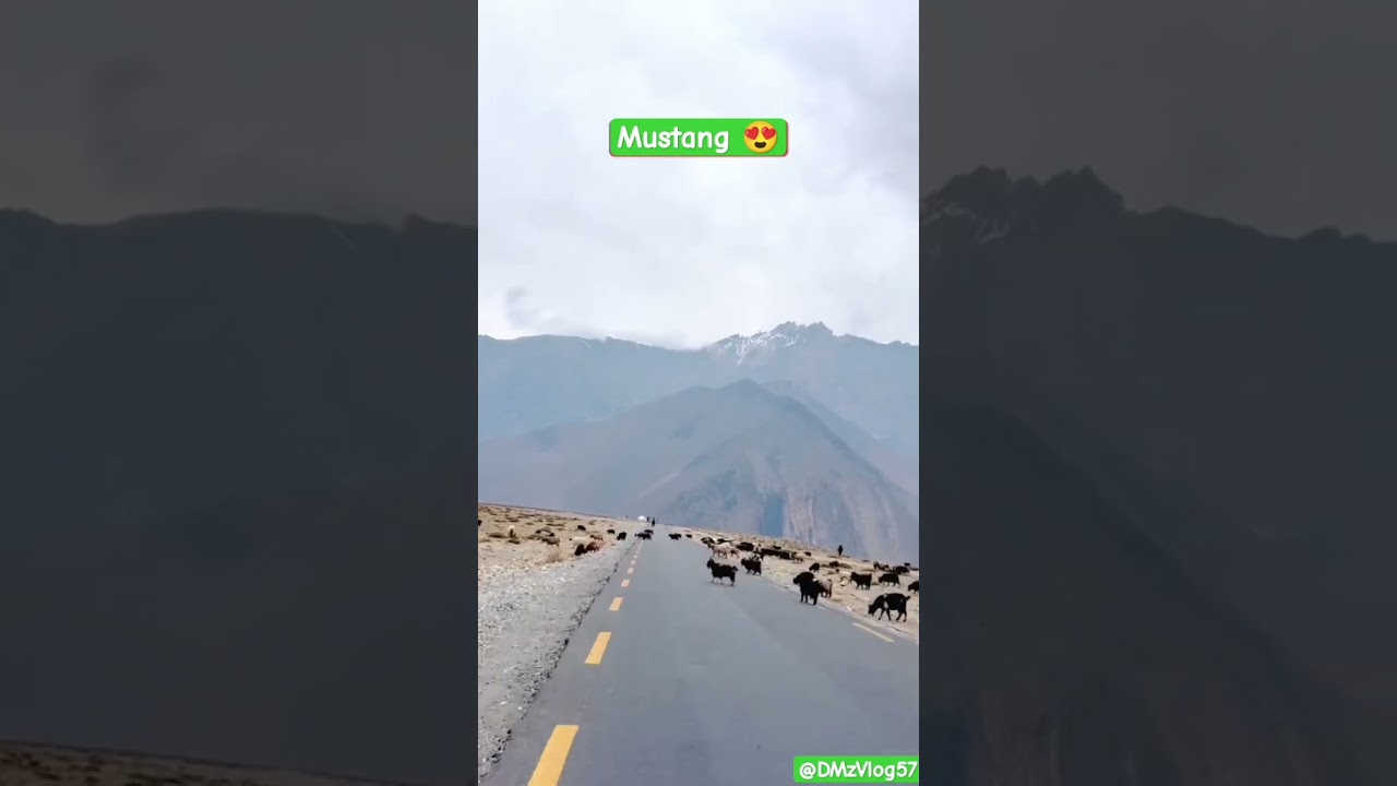 Beautiful Place Mustang 😍 