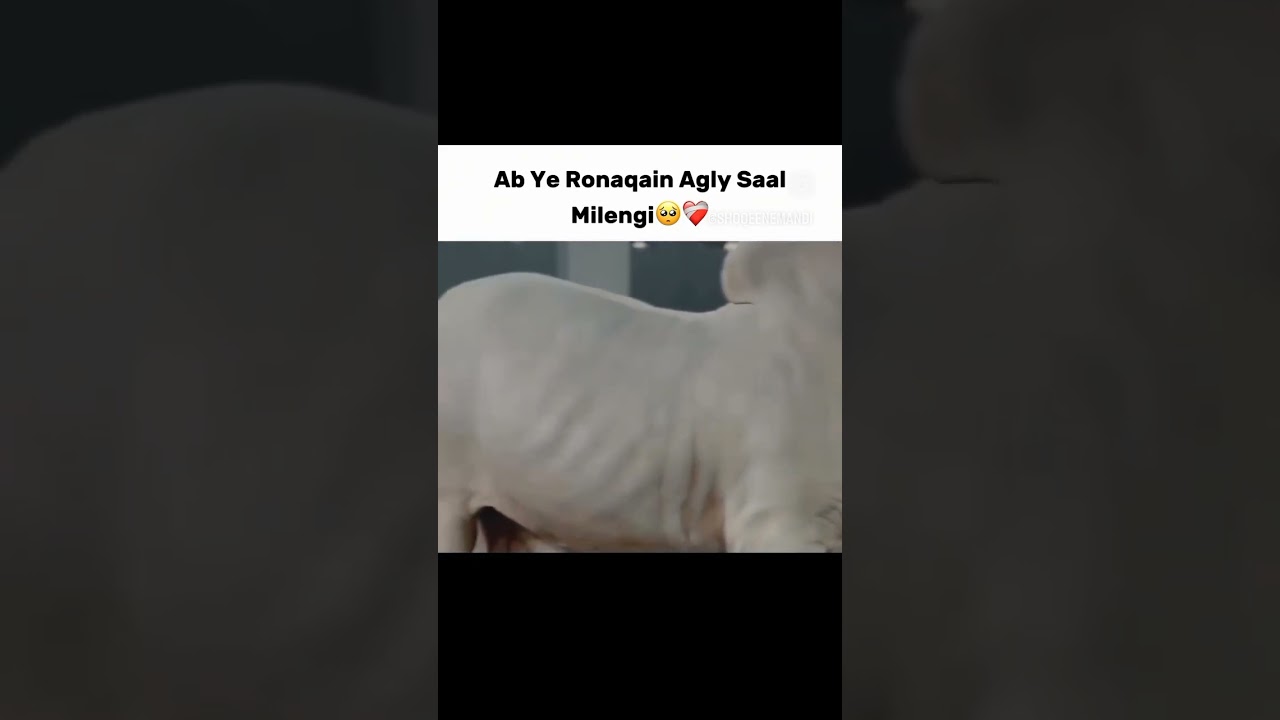 ab aglay saal milengay 2027 
