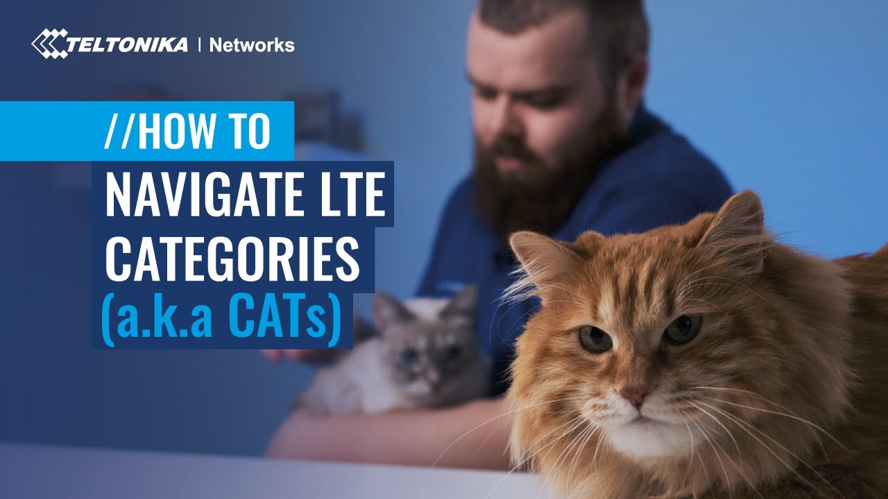 Категории 4G LTE (также известные как CAT 😽) &mdash; в чем разница?