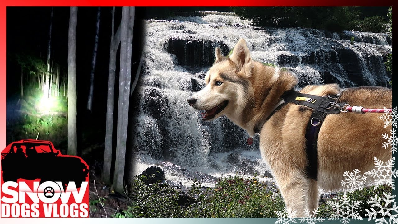 WATERFALLS and HAUNTED WOODS