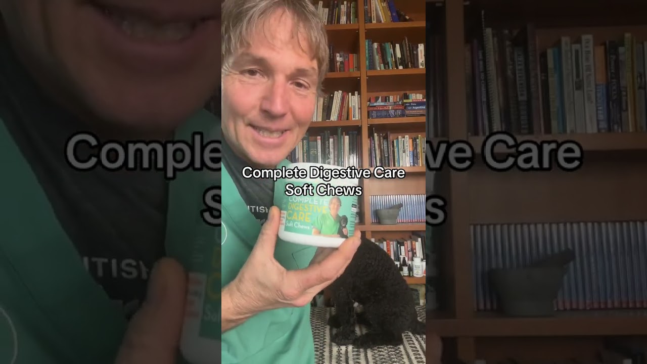 Dog with ongoing digestive issues? Acid reflux? Allergies? Try this enzyme and probiotic supplement!
