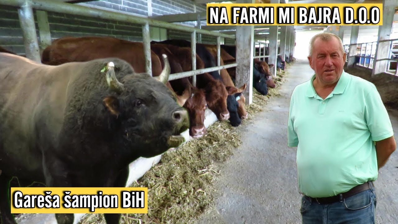 Hajrudin Haseljić Bajra: Gareša nema cijenu