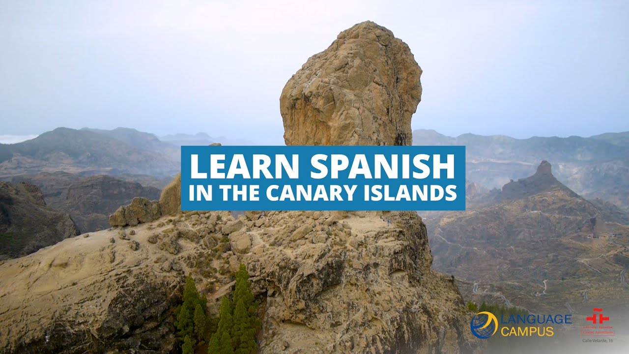 Learn a language in the Canary Islands