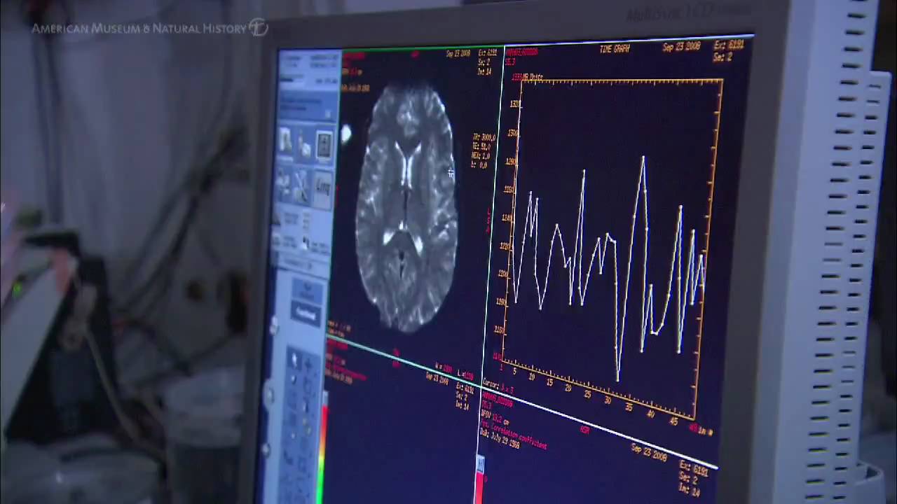 Science Bulletins: Language in the Brain