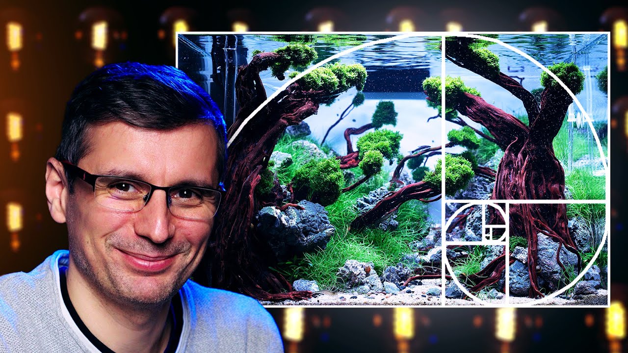 How To Achieve BREATHTAKING Aquarium Looks | Aquascaping COMPOSITION Masterclass