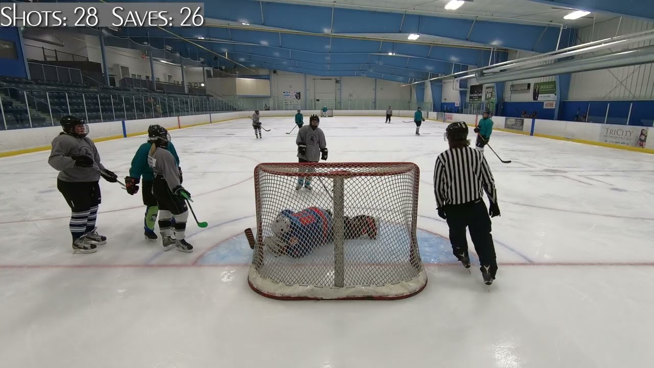 GoPro Hockey Goalie | Week 9 Rec League | Three Games Two Nights