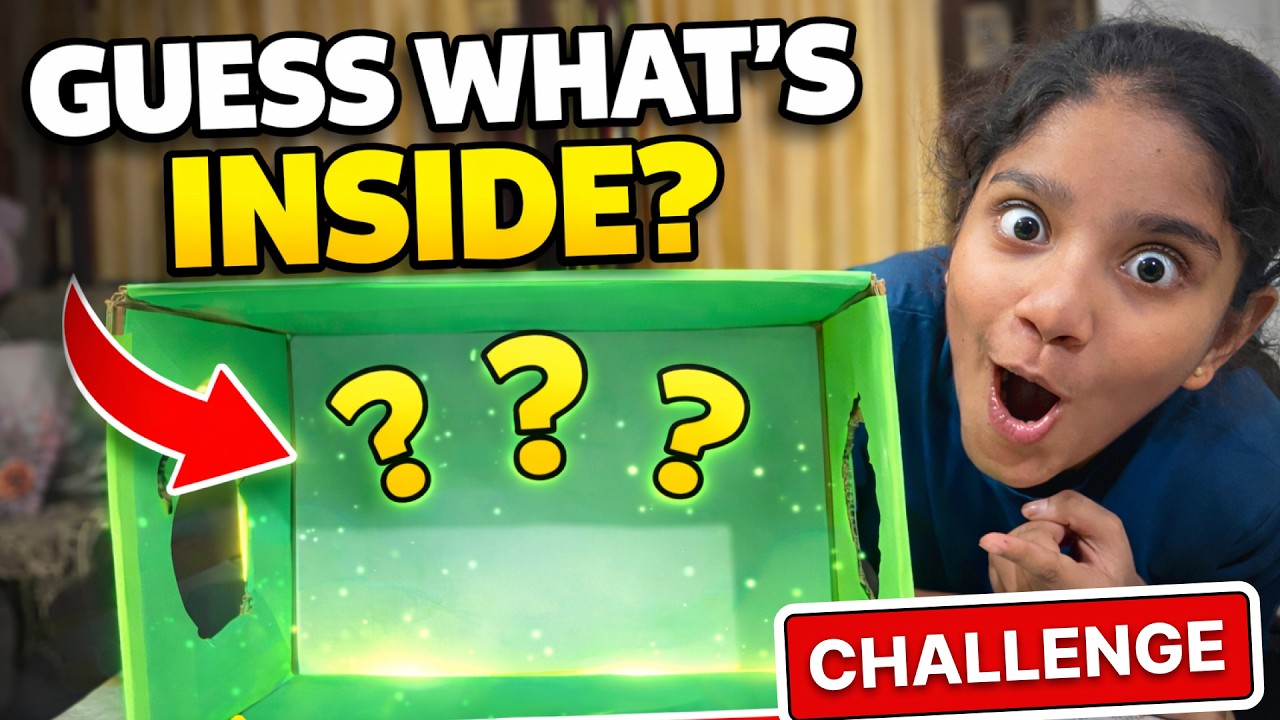 Guess What's In The Box Challenge |  Family Friendly Videos | Family Man Diaries