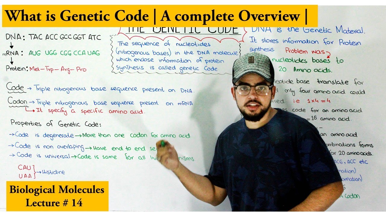 The Genetic code | Code vs Codon | Triplet code system
