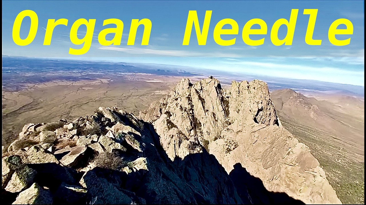 The Organ Needle // always getting lost