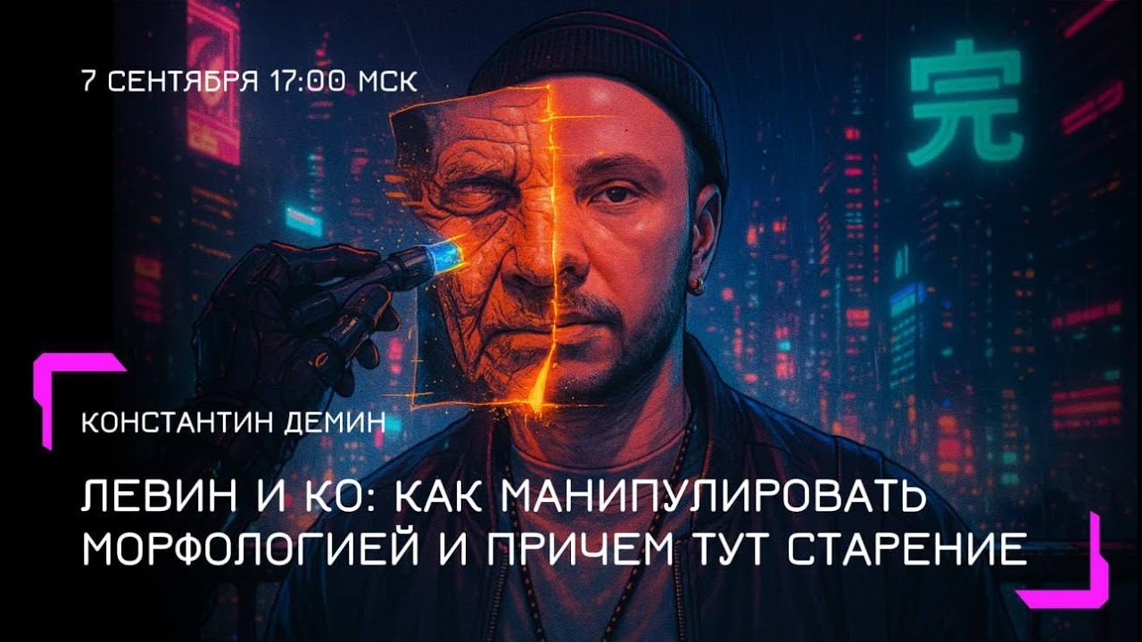 Константин Демин: Левин и Ко. Как манипулировать морфологией и причем тут старение