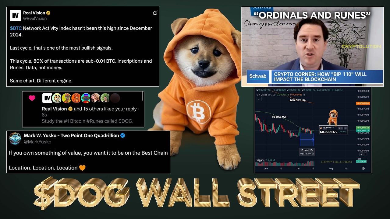 Wall Street talks #Runes and $DOG from BIP-110's downfall 🤯