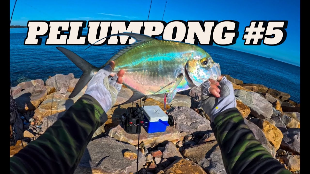 Big Fish Came Out and Play | Super Ultralight and Ajing Game | Pelumpong Brunei