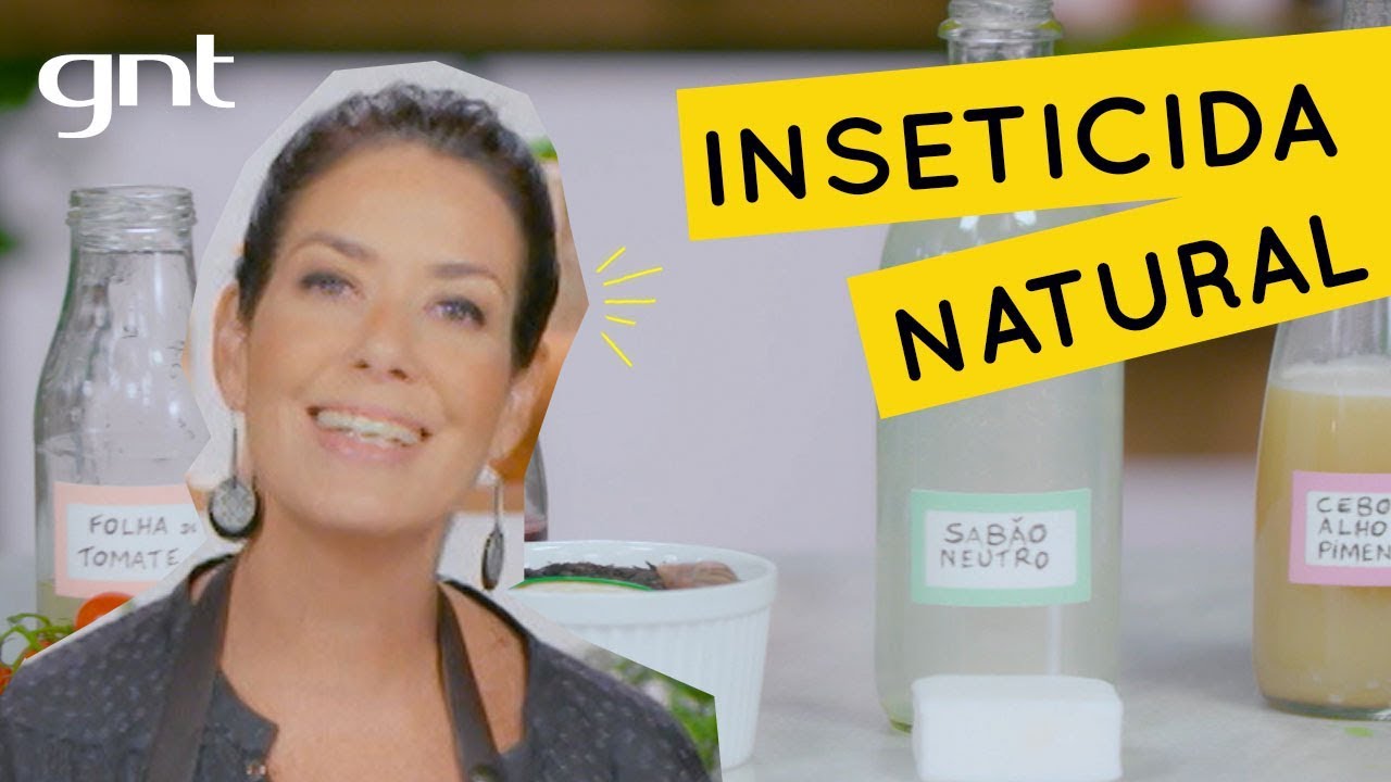 Como fazer inseticida caseiro para plantas 🌿 | Jardinagem | Gabi Pileggi