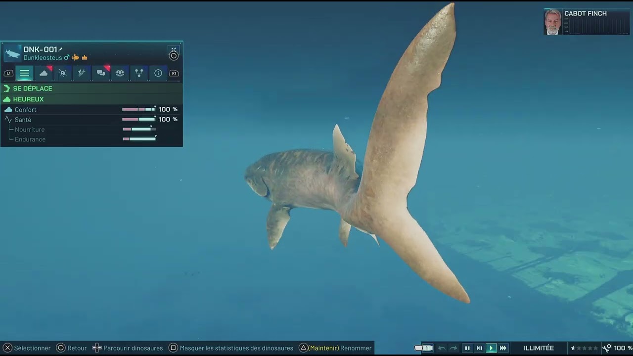 Mégalodon VS Dunkleosteus