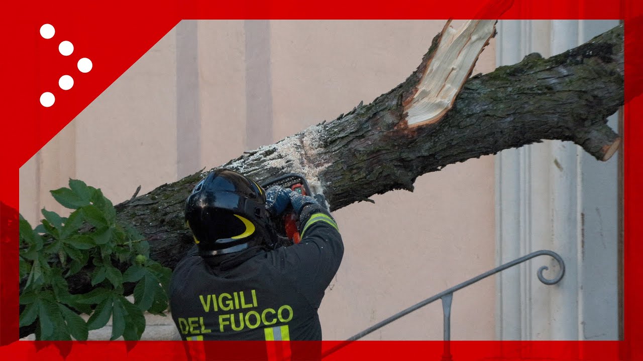 Luino, cade parte di un albero: in corso messa in sicurezza ad opera dei vigili del fuoco