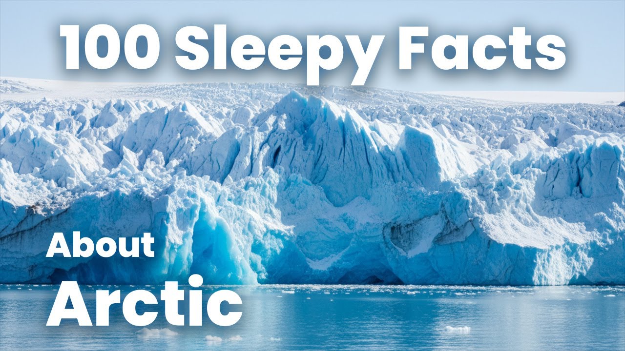 Relaxing Facts About Arctic,  Science for Sleep 😴