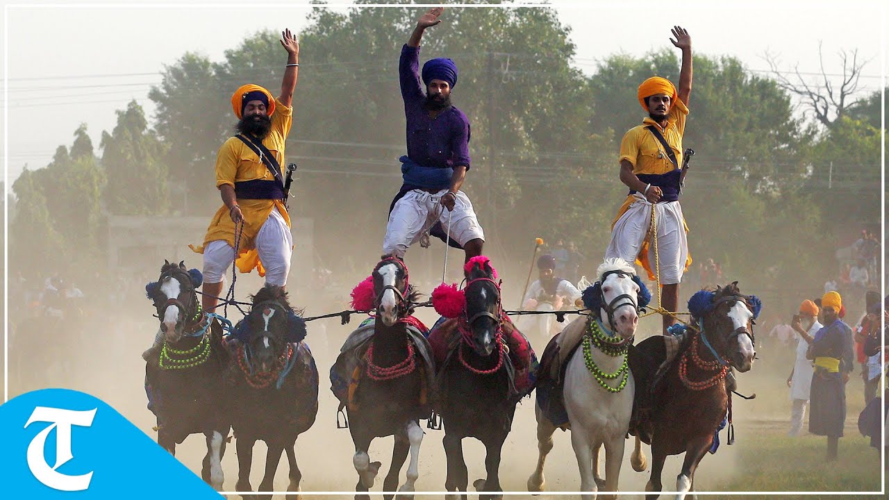 Amritsar: Nihangs show their horse riding skills during 'Bandi Chhor Diwas' celebrations