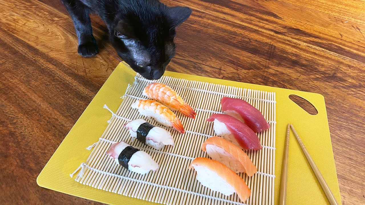 We made SUSHI for our cat's second birthday!