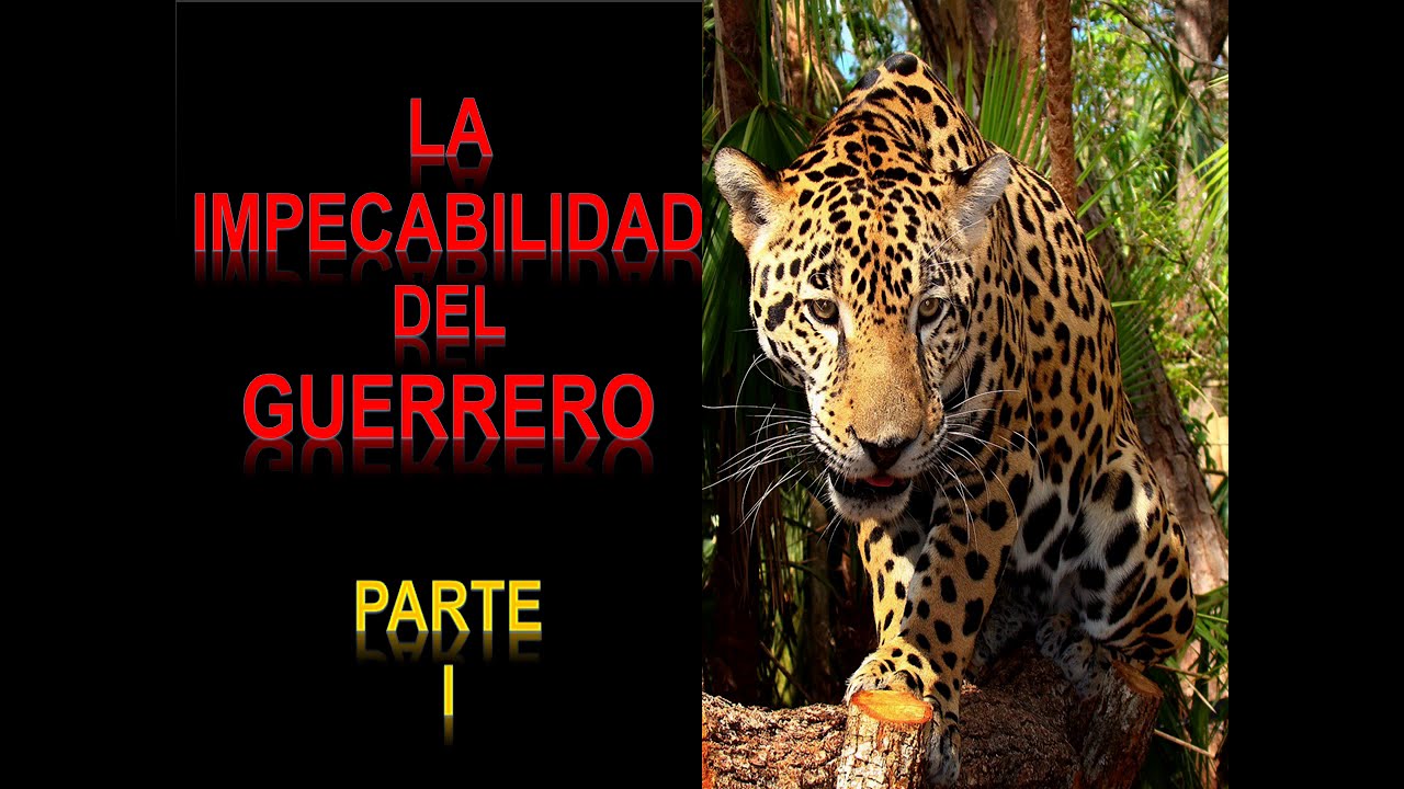 ⭐LA IMPECABILIDAD DEL GUERRERO - CASTANEDA - CAMINO TOLTECA