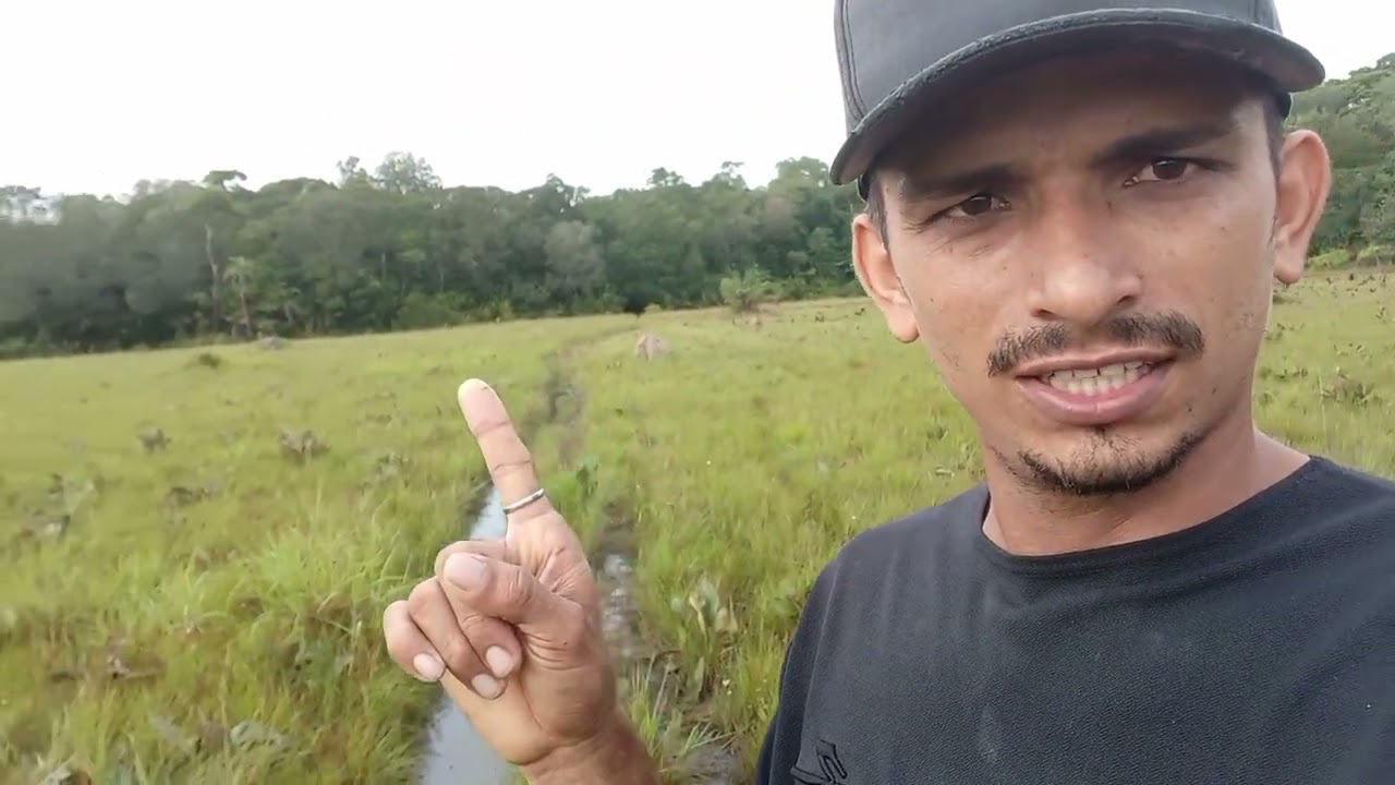 Acordei cedo para cuidar dos animais.