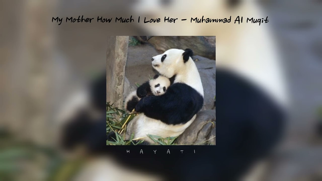 My Mother, How Much I Love Her - Muhammad Al Muqit | Sped Up Nasheed | Vocals Only |