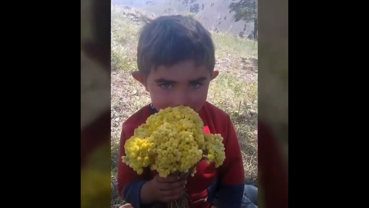 sivas koyulhisar aksu köyü 2 görsel