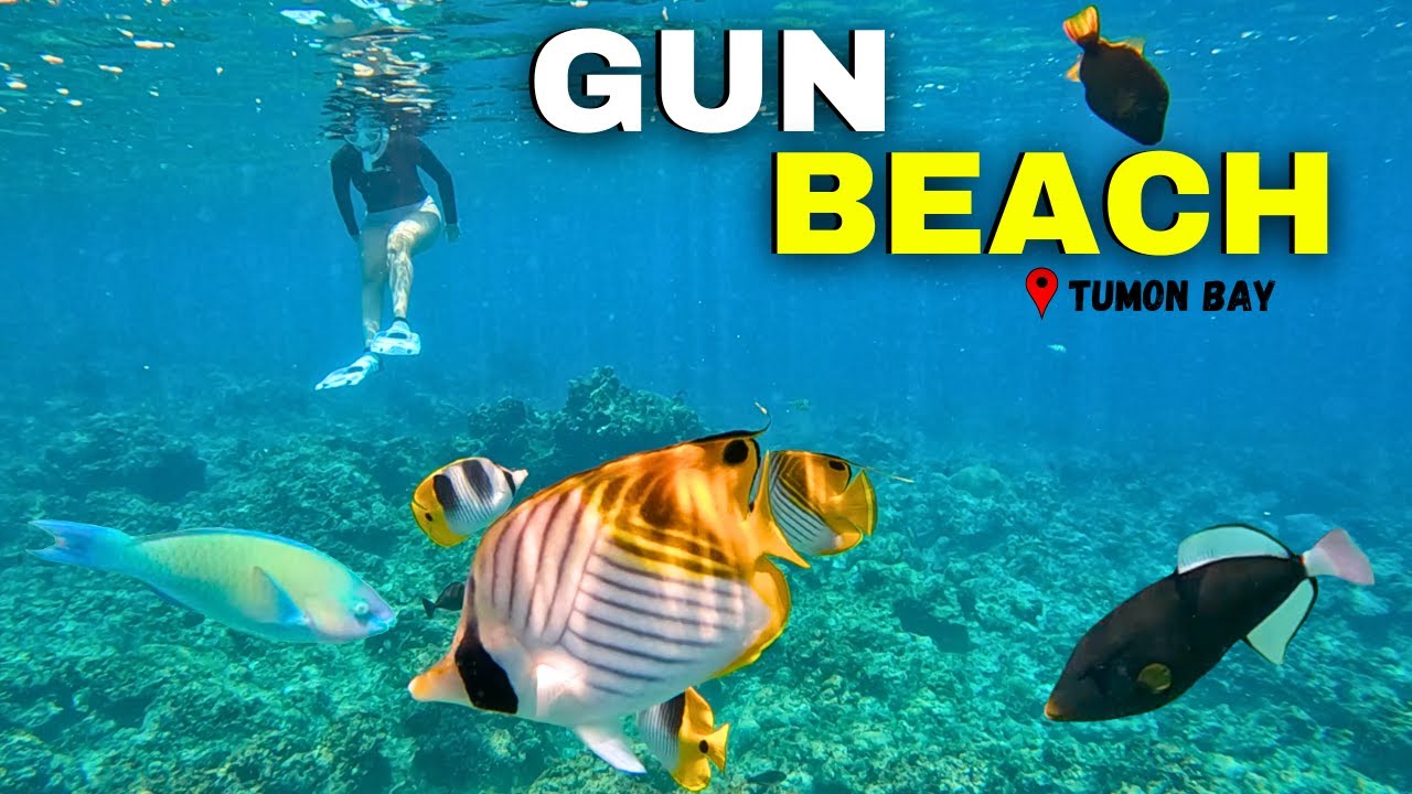 What to Do in Guam? | Fish Paradise in Tumon Bay