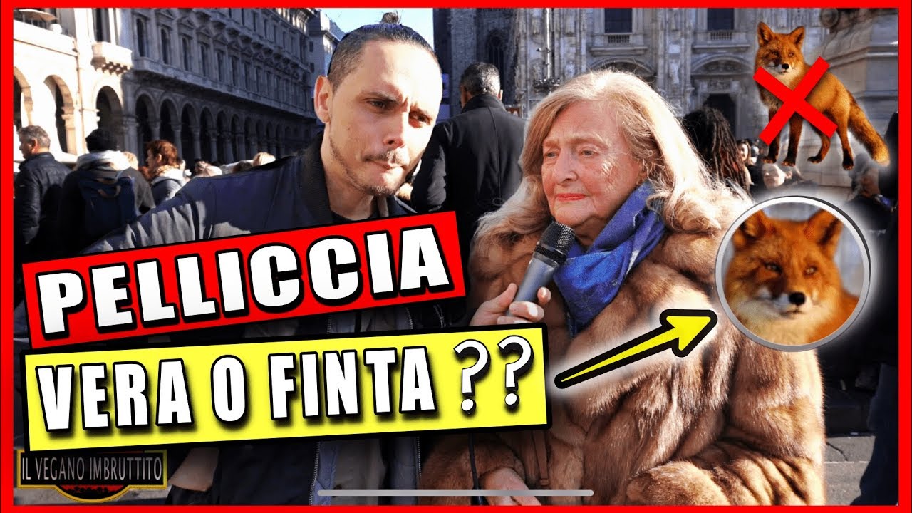 COSA MANGI A NATALE ? - le interviste imbruttite di Giorgio Immesi