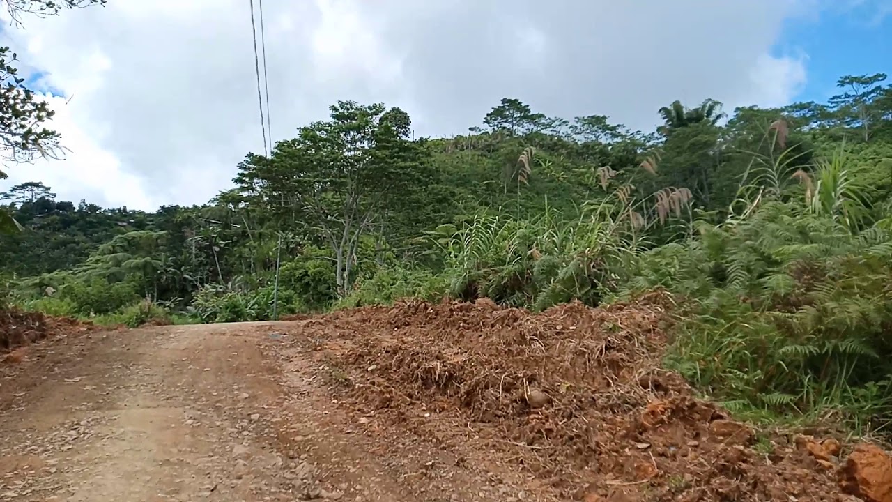 boringot to palo road