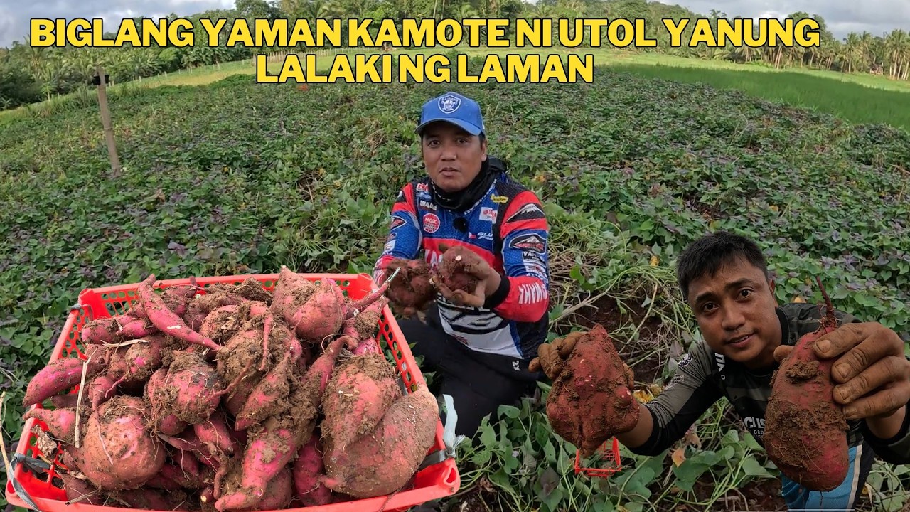 BIGLANG YAMAN KAMOTE NI @anthonyjaballa5323