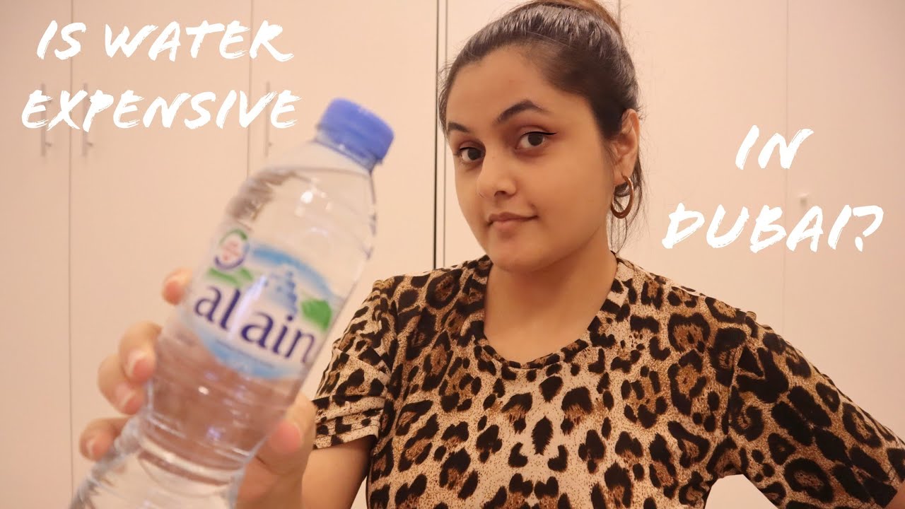 Things To Know About Dubai, UAE | Ananya Walia