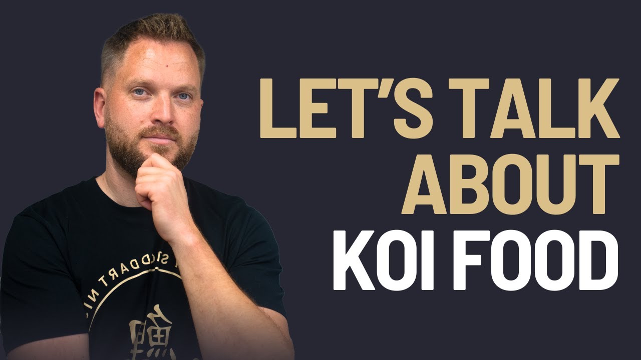 Let's Talk About Koi Food!