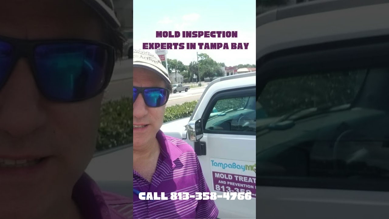 Mold Inspection Testing Safety Harbor FL 727-877-1011 TampaBayMold.net #blackmold #moldinspection