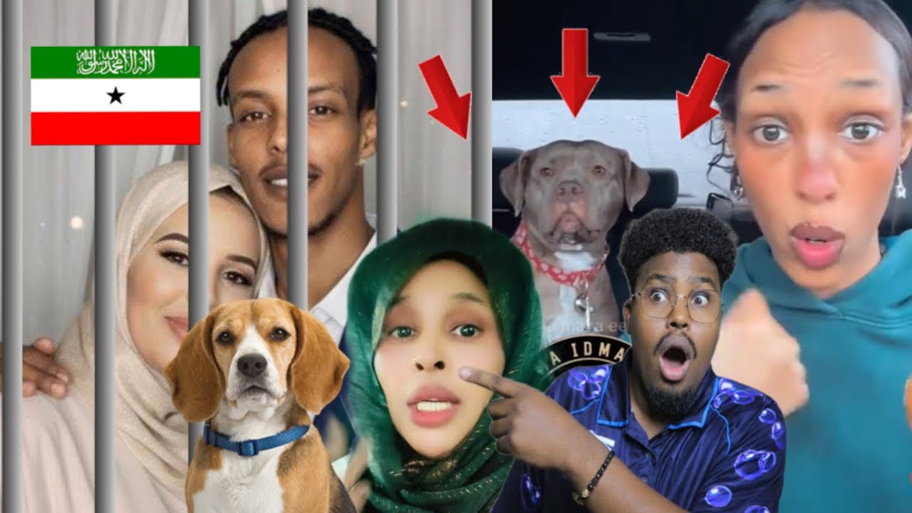 GABADHAN UGU DHAQAN KA XUN IYO FARXIYA FISKA OO SHAYDAAN KU SHEEGTEY MUBARIK OCTOBER..DAAWO 