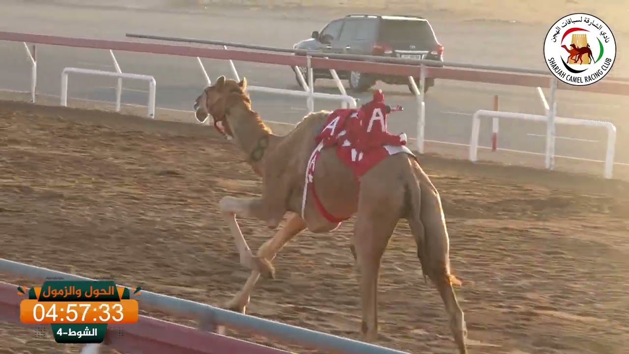 ميــدان الذيد - شـ 4 حول وزمول 30/11/2024 مبهر لـ عبدالله محمد سلطان فاضل الكتبي التوقيت 9:59:29